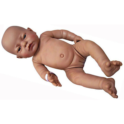 Newborn baby anatomically - baby,
