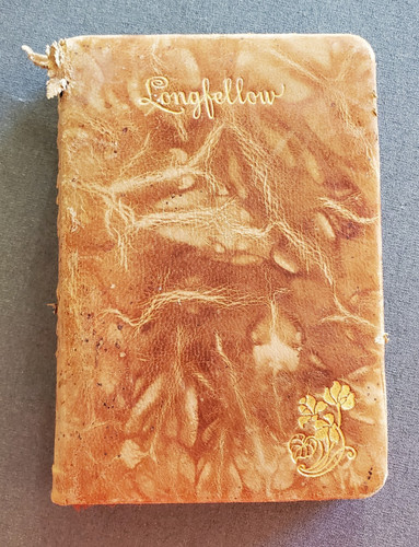 Old book poems - old,