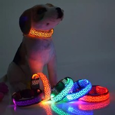 LED Dog Collar – USB