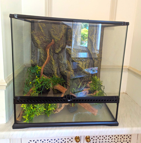 Exonterra glass reptile - glass,