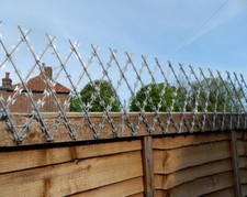 Garden Trellis Fence Height