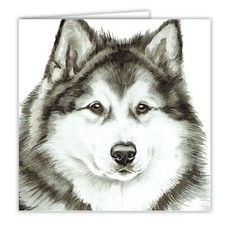 Alaskan Malamute greetings