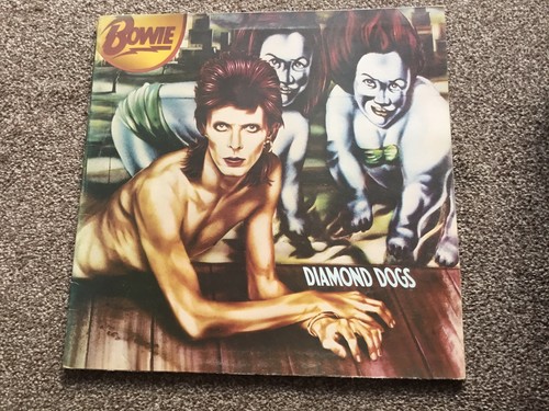 Vinyl album david bowie - vinyl,