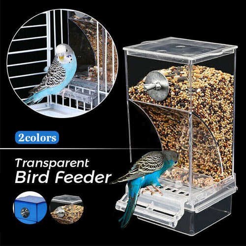Automatic acrylic bird feeder - acrylic,