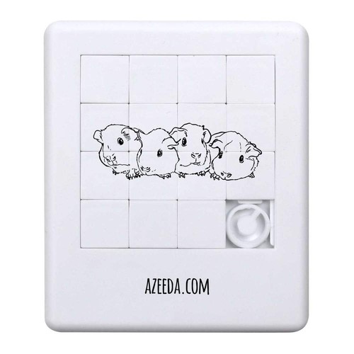 Baby guinea pigs - guinea, sliding