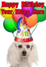Poodle  Happy Birthday PID733