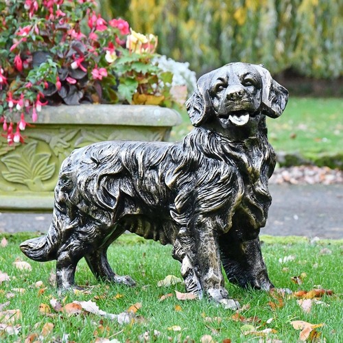 Golden retriever antique gold - golden,