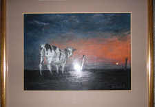 Portrait A Cow at Sunset