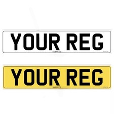 Registration Plate Number