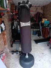 Freestanding Boxing Punch Bag and Gloves Set