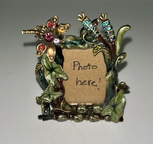 Rare jay strongwater dragonfly - jay,