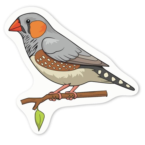 Zebra finch white vinyl - white,