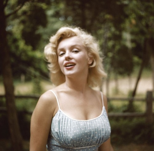 Marilyn monroe 500 - monroe, 9,500