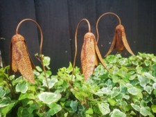 Set Of 3 Metal Snowdrop Flower