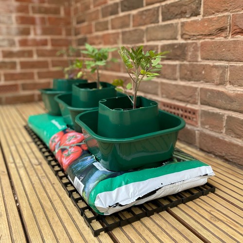 Grow bag watering pots - 3,