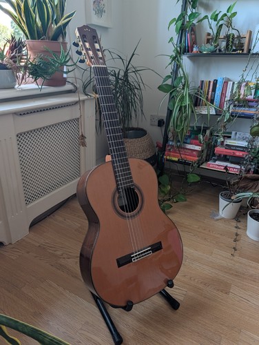 Cordoba classical acoustic - c7,