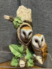 🦉STUNNING LEONARDO