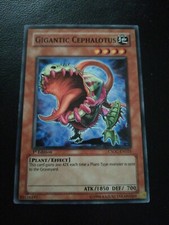 Yugioh card - Gigantic