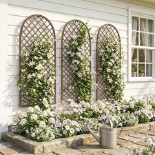Garden Trellis, Decorative
