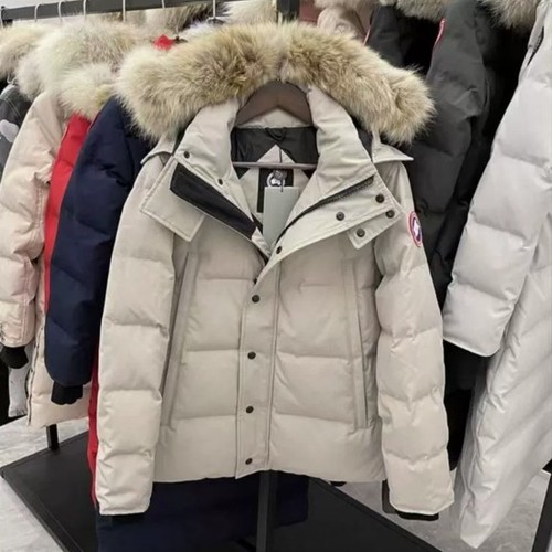 Hot canada goose - goose, wyndham