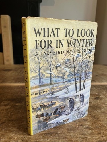 Ladybird what look for in - ladybird,