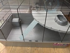 Hamster Starter Kit with Grey