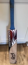 Kookaburra wild beast - wild,