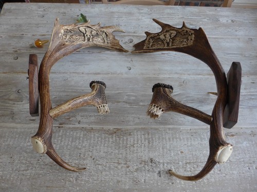 Pair fallow deer antler - pair,