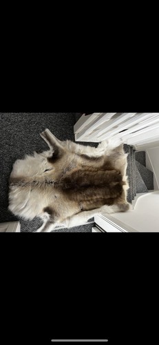 Natural genuine deer hide - hide, rug