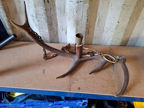 Vintage real antler ceiling - real,