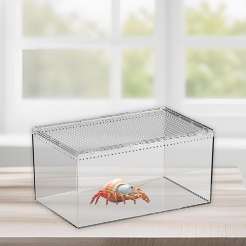 Reptile breeding box clear - box,