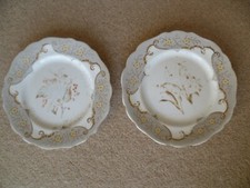 Antique Coalport dinner plates