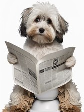 Bathroom Toilet Wall Decor Fun