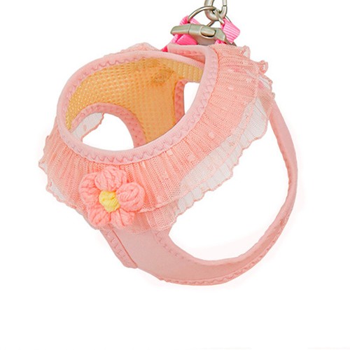 Cat dog harness - dog, leash