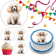 Poodle Dog Cake Topper Party