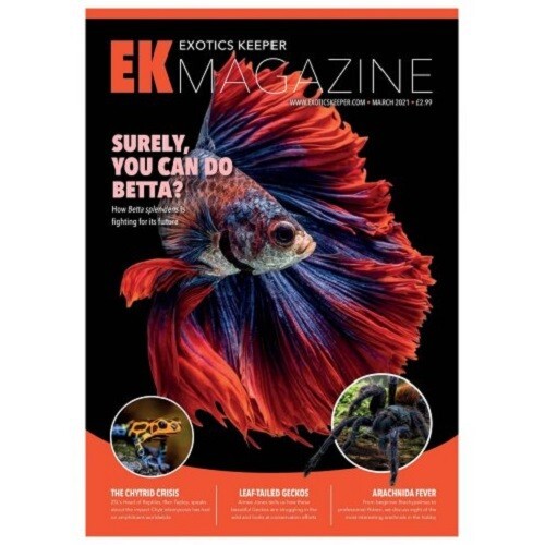 Exotics keeper magazine - magazine,