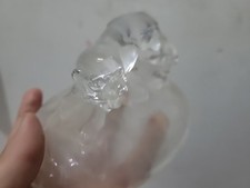 Glass Tiger
