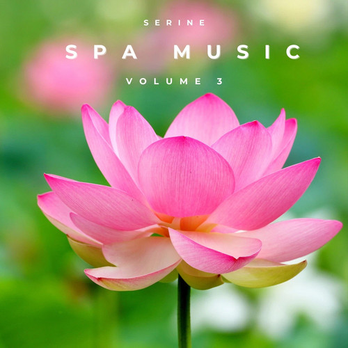 Relaxation music vol 3 - vol.,