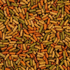 HERONS Koi Trio Sticks |