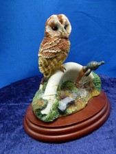 border fine arts tawny owl on sink, 484350, 1998