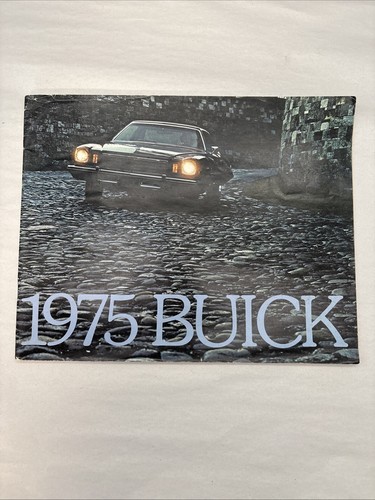 1975 buick skyhawk skylark - skyhawk,