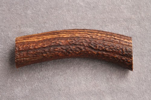 Real red deer antler - antler, /
