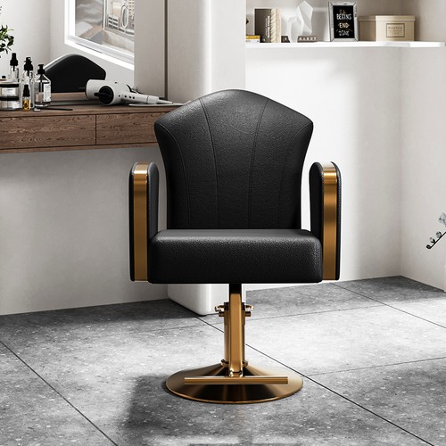 Pro salon barber chair height - chair,