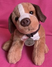 Keel rupert brown labrador dog - rupert,