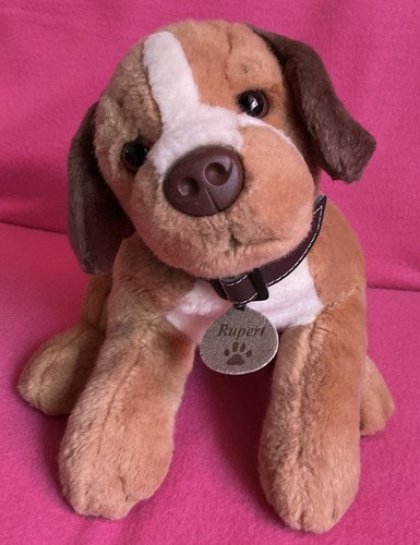Keel rupert brown labrador dog - keel,