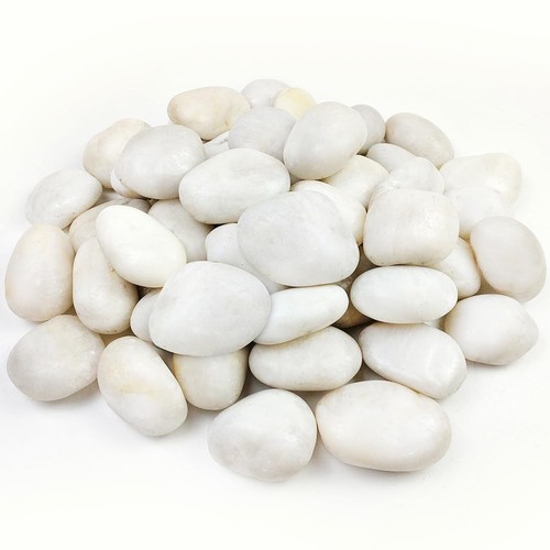 40lbs large river rocks for - 40lbs,