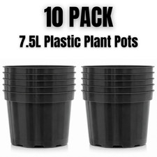 Black plastic plant - plant, pots