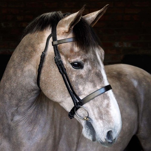 Cottage craft cavesson bridle - cottage,