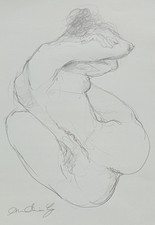 Pencil drawing female nude