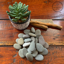 30 small "OVAL" beach pebbles